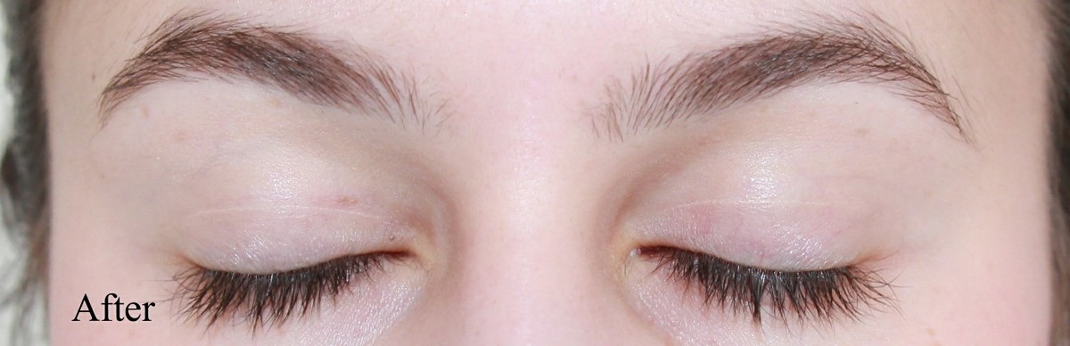 Growing out the Brows: Picture Timeline and Tips